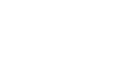 Router Protocol